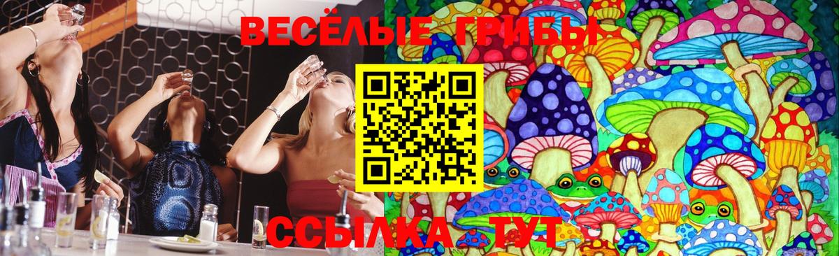Галлюциногенные грибы Psilocybine cubensis Ялта