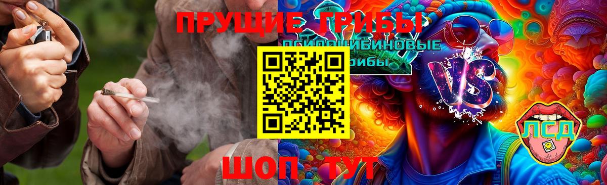 Ялта  Галлюциногенные грибы Psilocybine cubensis  Вход с VPN 